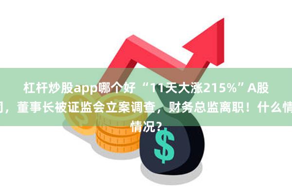 杠杆炒股app哪个好 “11天大涨215%”A股公司，董事长被证监会立案调查，财务总监离职！什么情况？