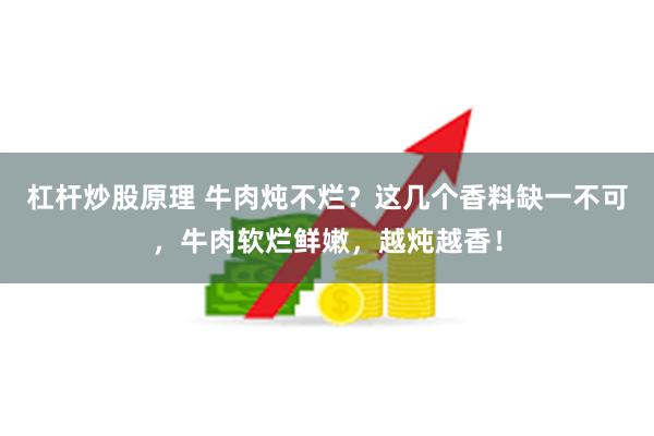 杠杆炒股原理 牛肉炖不烂？这几个香料缺一不可，牛肉软烂鲜嫩，越炖越香！