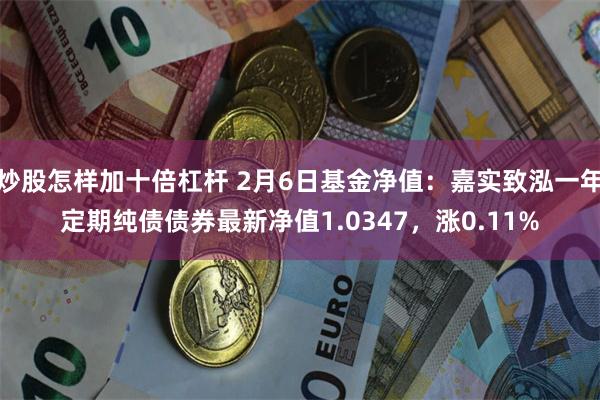 炒股怎样加十倍杠杆 2月6日基金净值：嘉实致泓一年定期纯债债