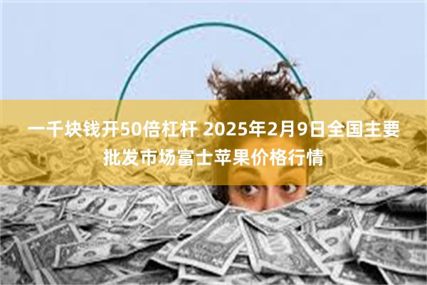 一千块钱开50倍杠杆 2025年2月9日全国主要批发市场富士