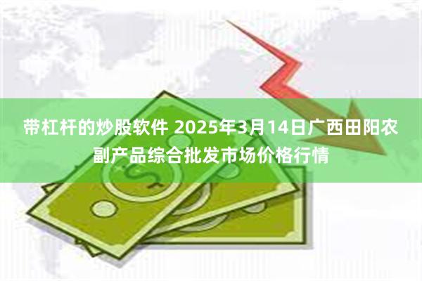 带杠杆的炒股软件 2025年3月14日广西田阳农副产品综合批