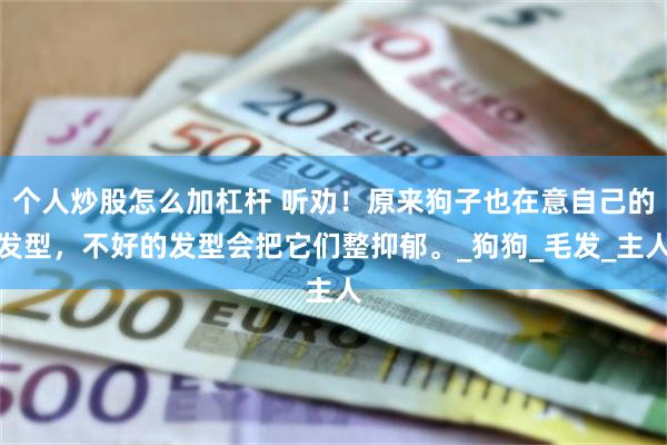 个人炒股怎么加杠杆 听劝！原来狗子也在意自己的发型，不好的发