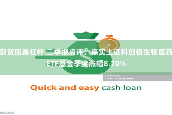 期货股票杠杆 二季报点评：嘉实上证科创板生物医药ETF基金季